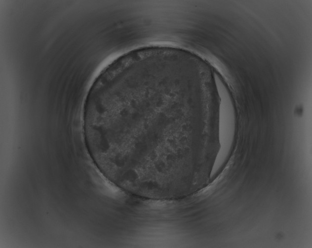 X0000095541240200801041302