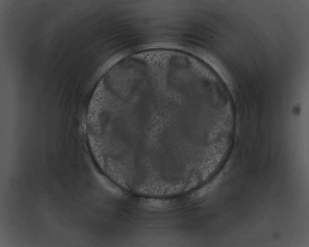 X0000095541241200801041302