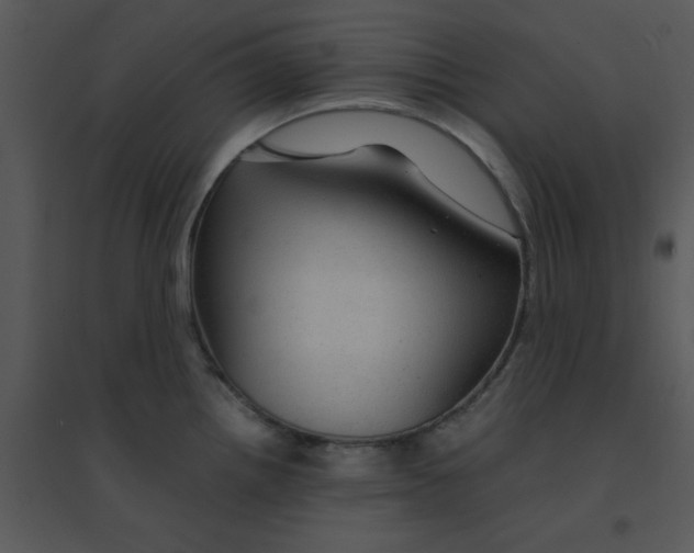 X0000095541242200801041302