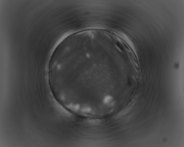 X0000095541243200801041302