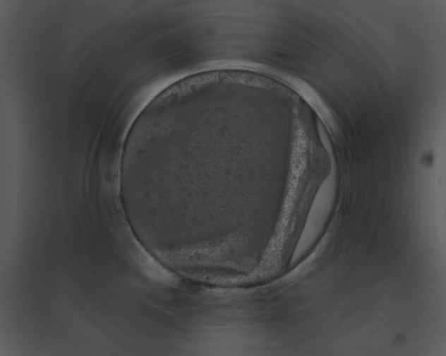 X0000095541244200801041302