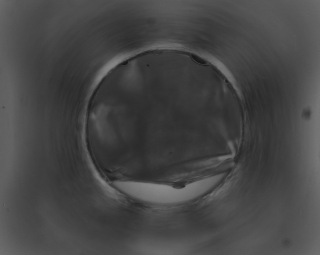 X0000095541245200801041302