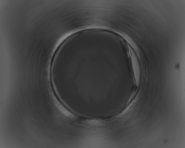 X0000095541246200801041302