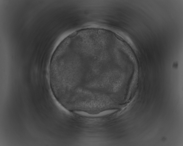 X0000095541247200801041302