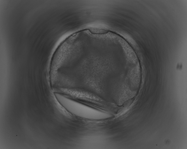 X0000095541248200801041302