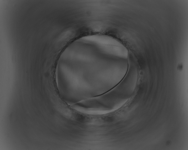 X0000095541249200801041301