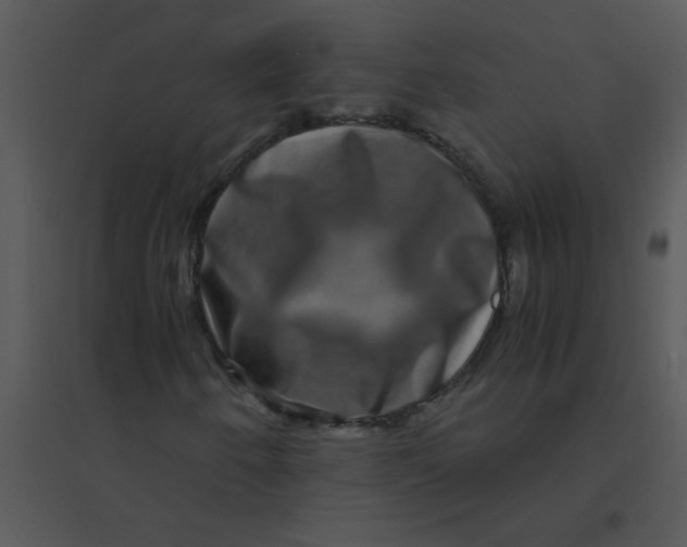 X0000095541250200801041301