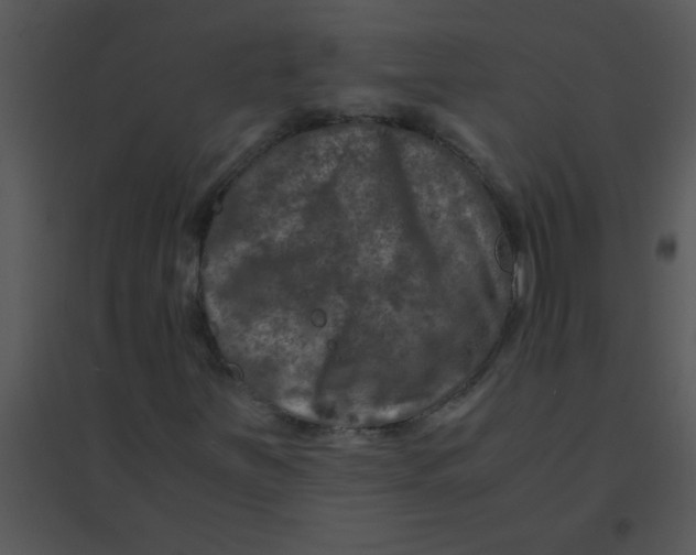 X0000095541251200801041301