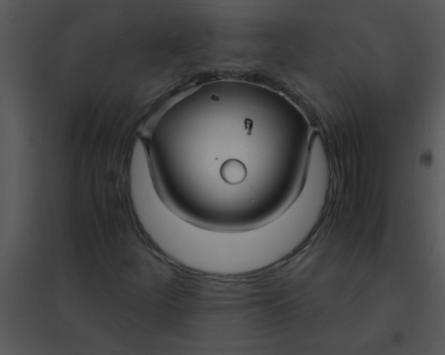 X0000095541252200801041301