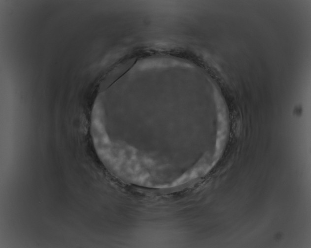 X0000095541253200801041301