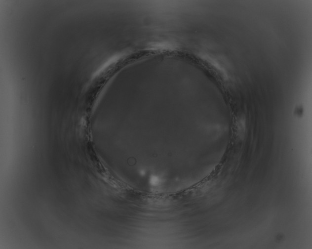 X0000095541254200801041301