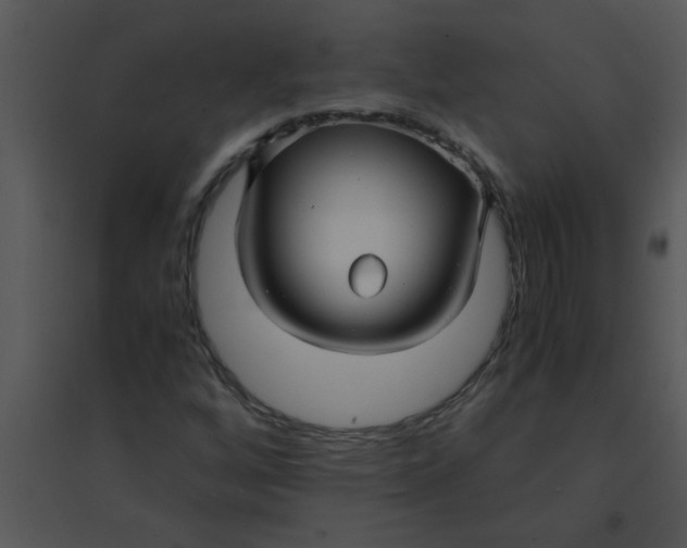 X0000095541256200801041301