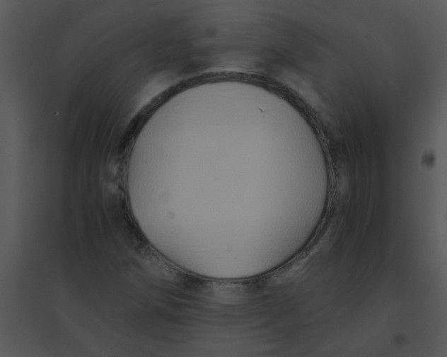 X0000095541258200801041301