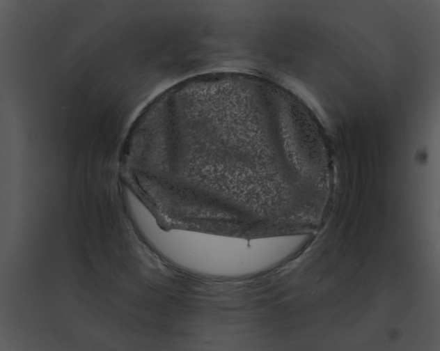 X0000095541260200801041301