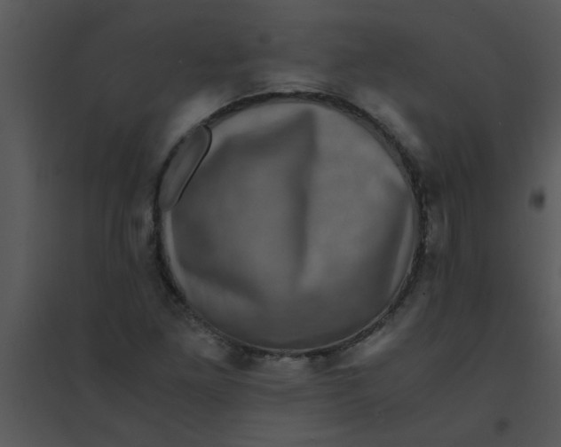 X0000095541261200801041301