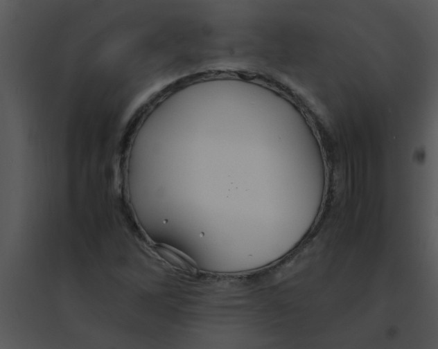 X0000095541262200801041301