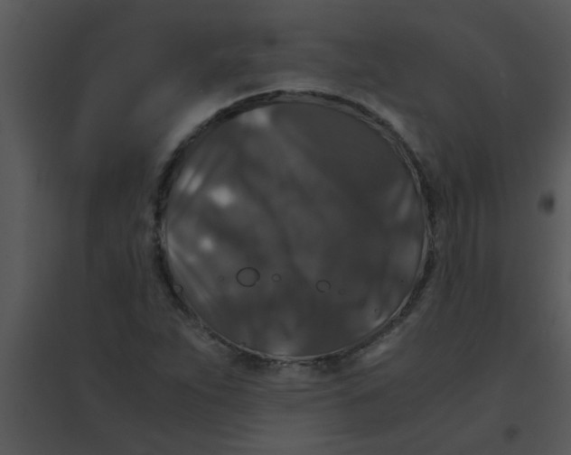 X0000095541263200801041301