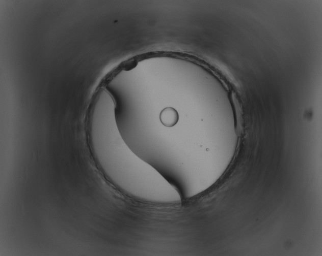 X0000095541264200801041301