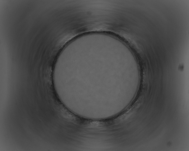 X0000095541265200801041301