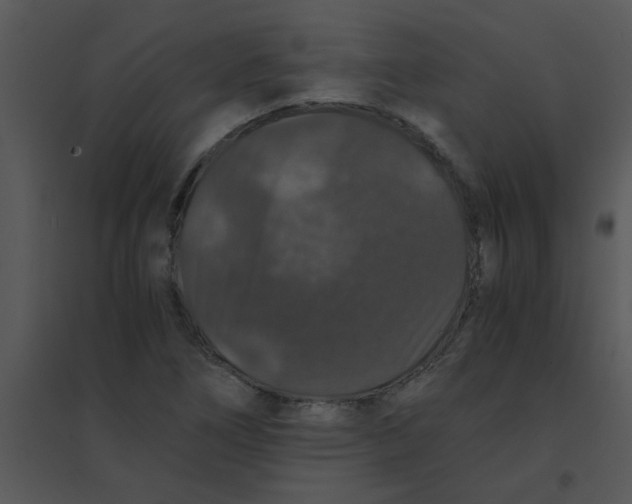 X0000095541266200801041301