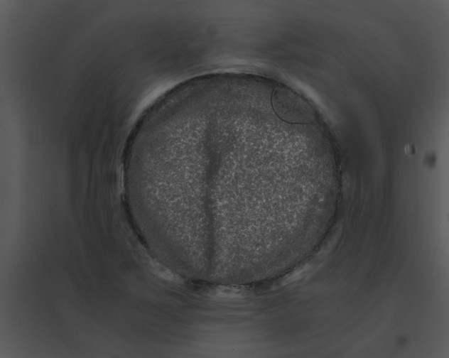 X0000095541267200801041301