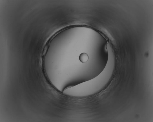 X0000095541268200801041301