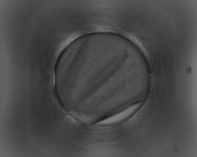 X0000095541269200801041301