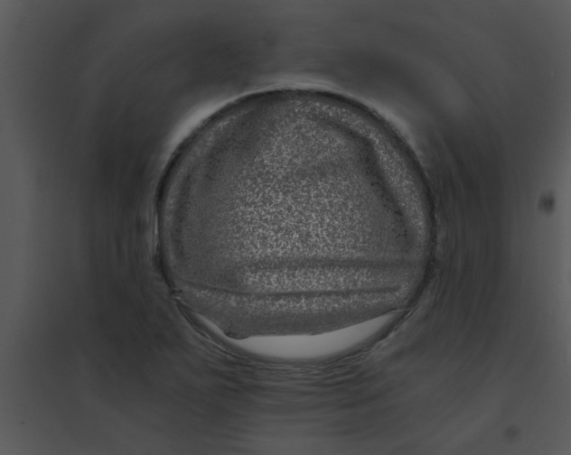 X0000095541271200801041301