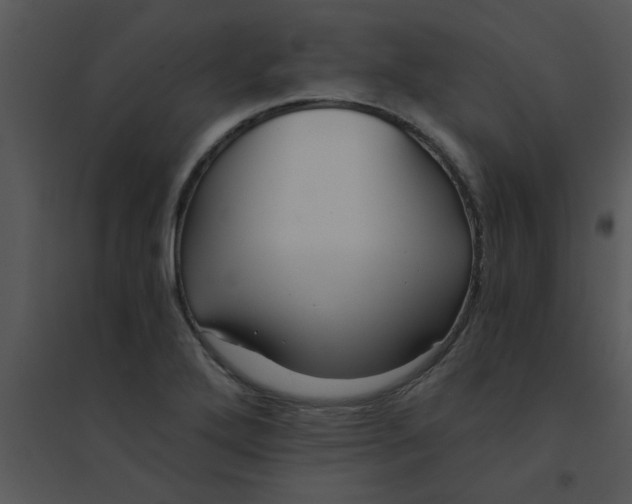 X0000095541272200801041301