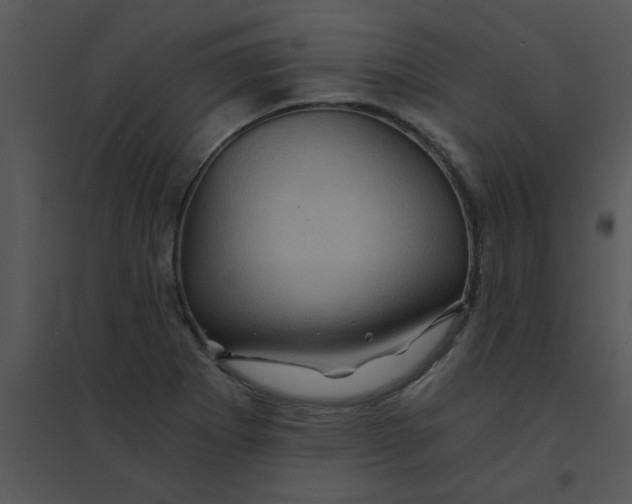 X0000095541273200801041301