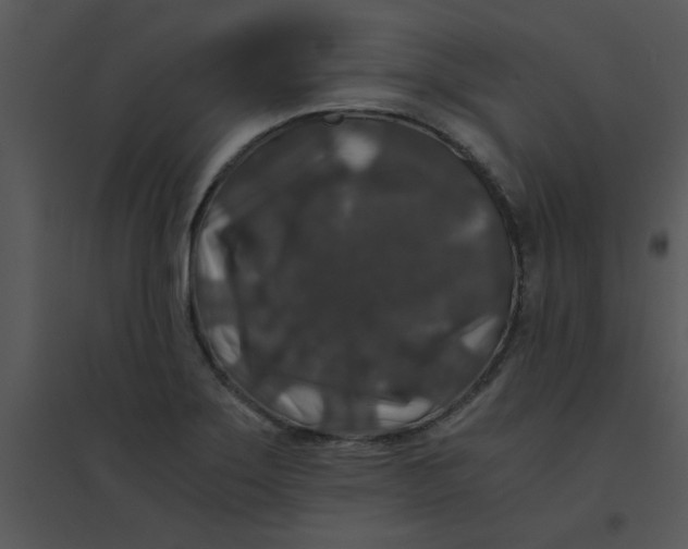 X0000095541275200801041301