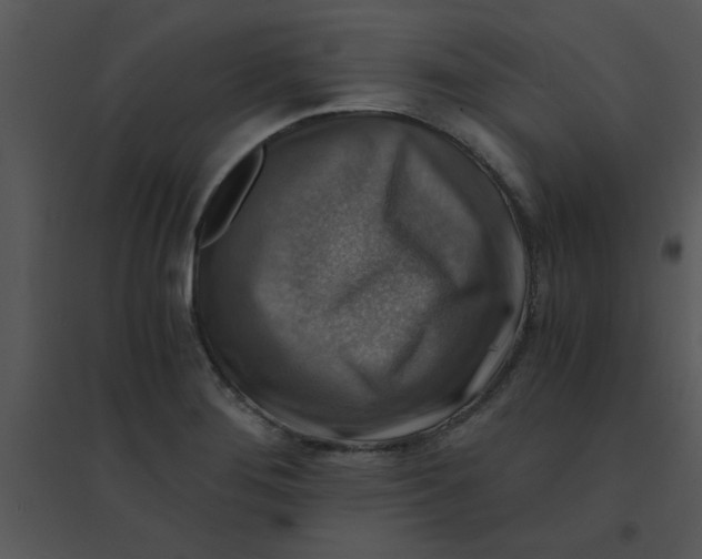 X0000095541276200801041301