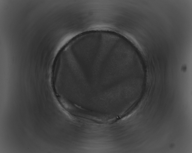 X0000095541277200801041301