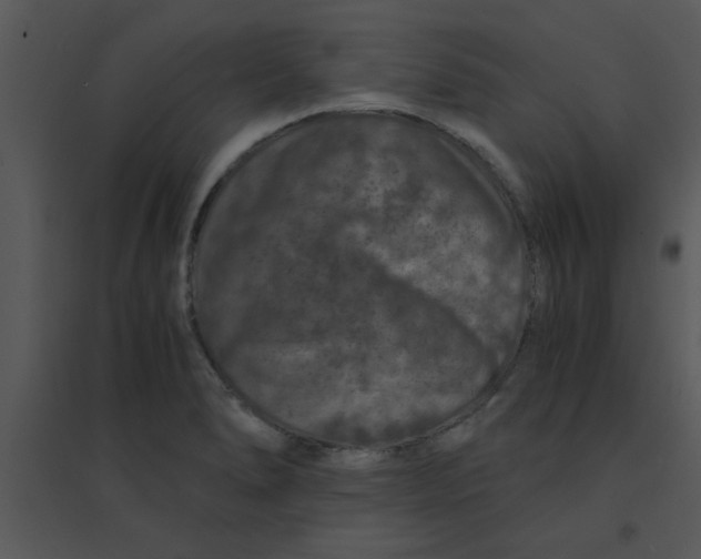 X0000095541278200801041301