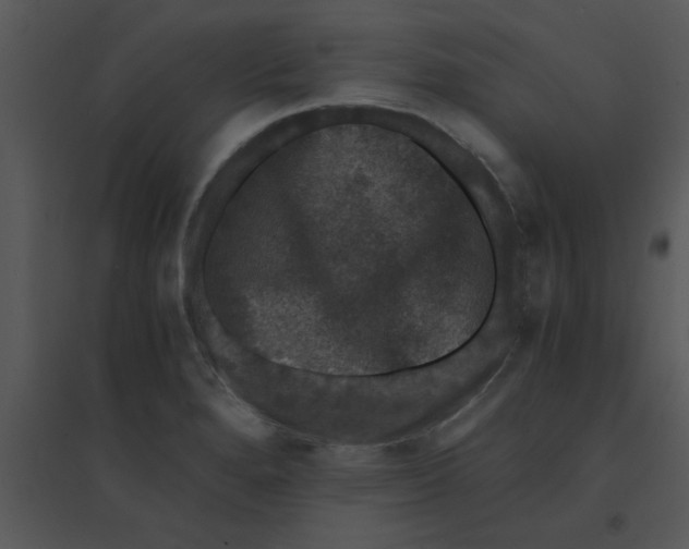 X0000095541280200801041301