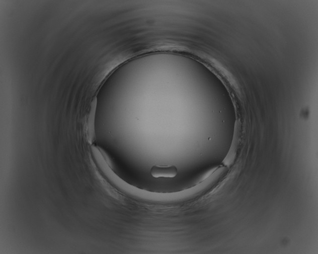 X0000095541281200801041301