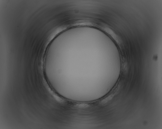 X0000095541282200801041301