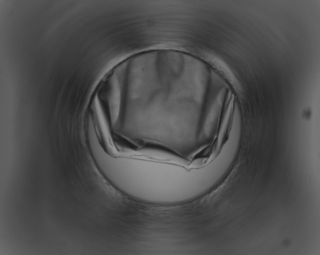 X0000095541284200801041301