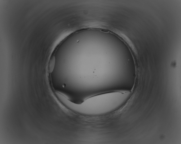 X0000095541285200801041301