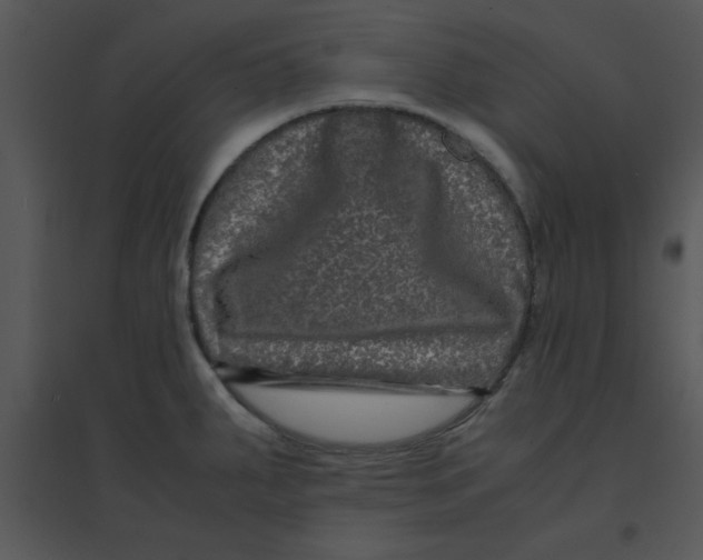 X0000095541287200801041301