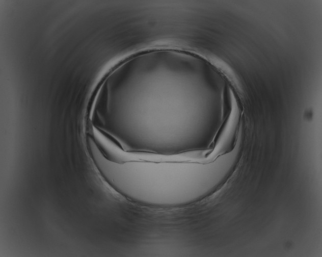 X0000095541288200801041301