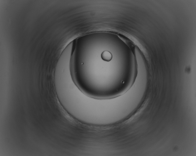 X0000095541289200801041301