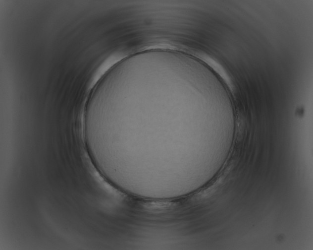 X0000095541290200801041301