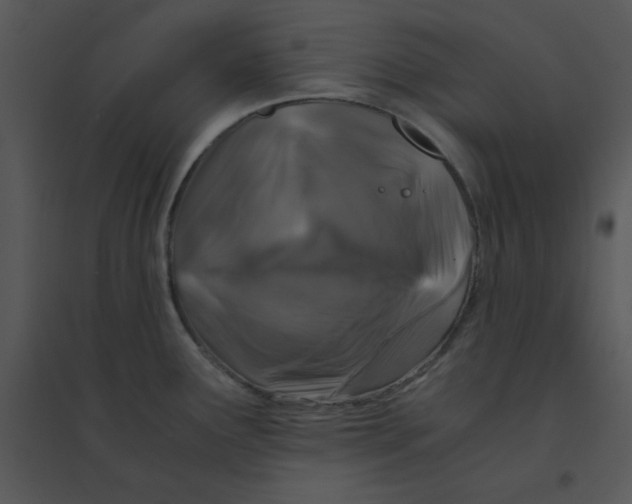 X0000095541291200801041301