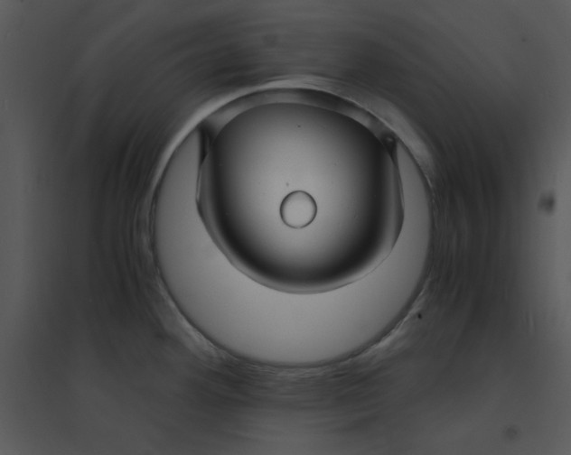 X0000095541292200801041301