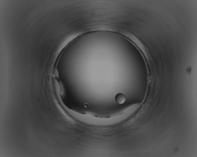 X0000095541293200801041301