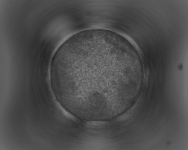 X0000095541294200801041301