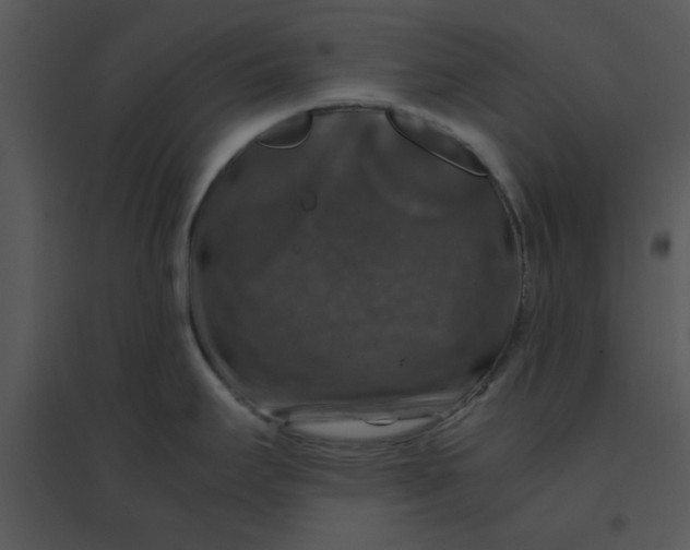 X0000095541295200801041301