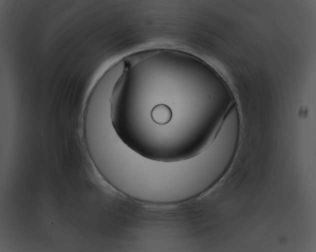 X0000095541296200801041301