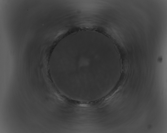 X0000095541297200801041300